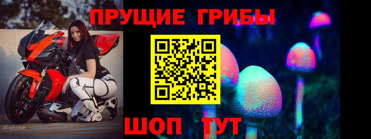 Алатырь  Псилоцибиновые грибы ЛСД  Вход с VPN 